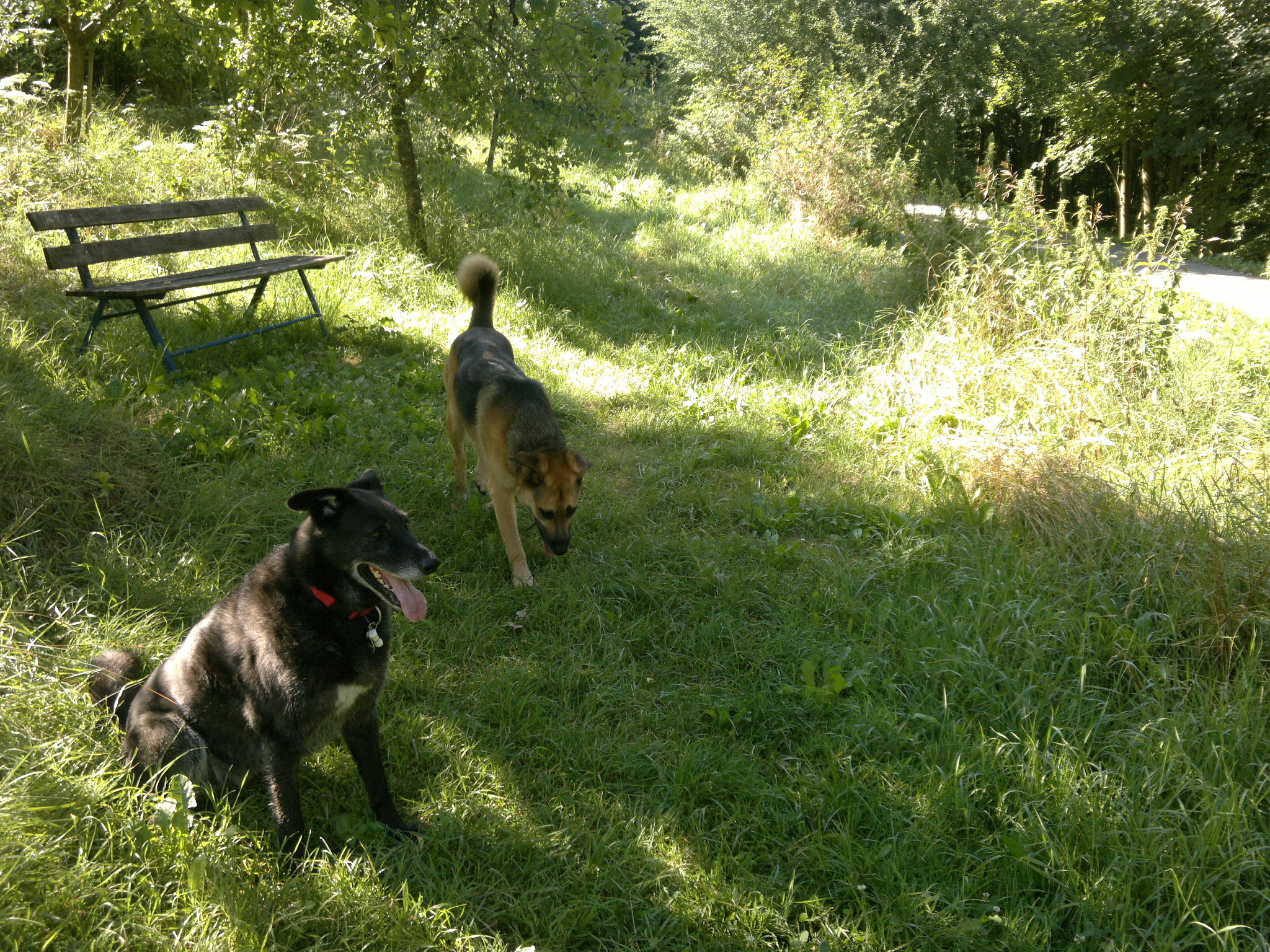 Mit Einstein am Bockerlbahn-Radweg.jpg (2048 x 1536)